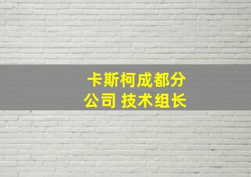 卡斯柯成都分公司 技术组长